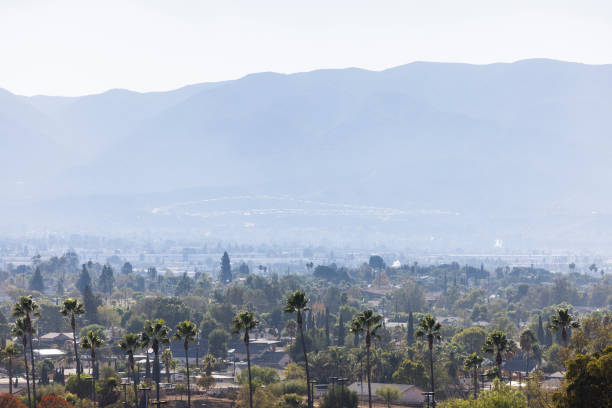istock Norco California Palm Trees 2184090231