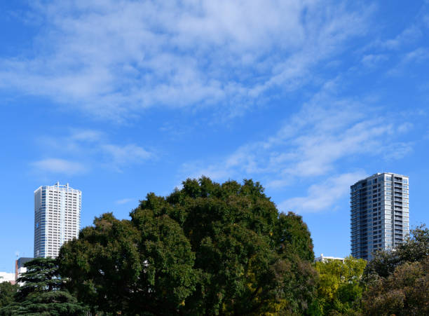 Two skyscrapers seen from the public park against blue sky with copy space.