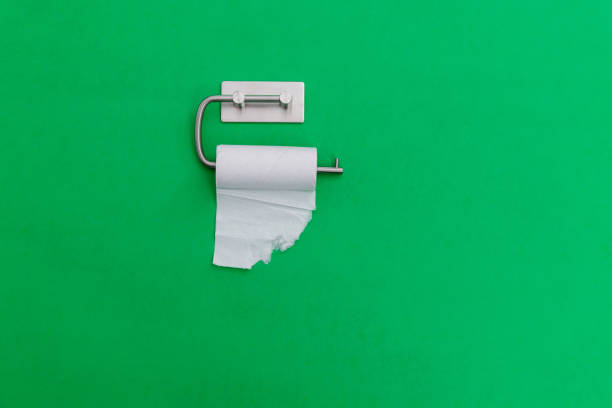 Empty toilet paper roll handing on green background.