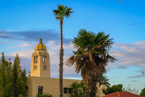 istock TOWER WITH A GOLD DOME AGAINST A NICE LIGHTLY CLOUDY SKY WITH SEVERAL PALM TREES 2184099433
