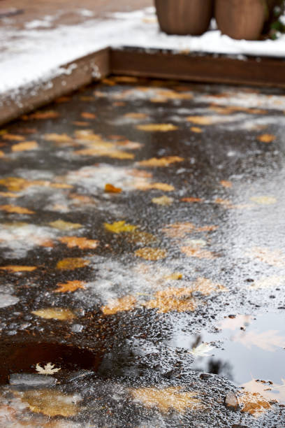 frozen pond in the garden in winter