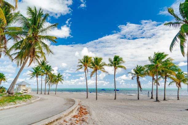 istock Tropical beach with palm trees and clear blue sky. 2184101956