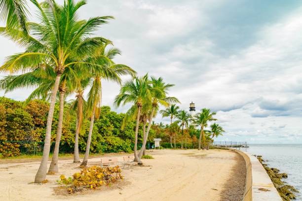 istock Tropical beach scene with palm trees and lighthouse. 2184101957