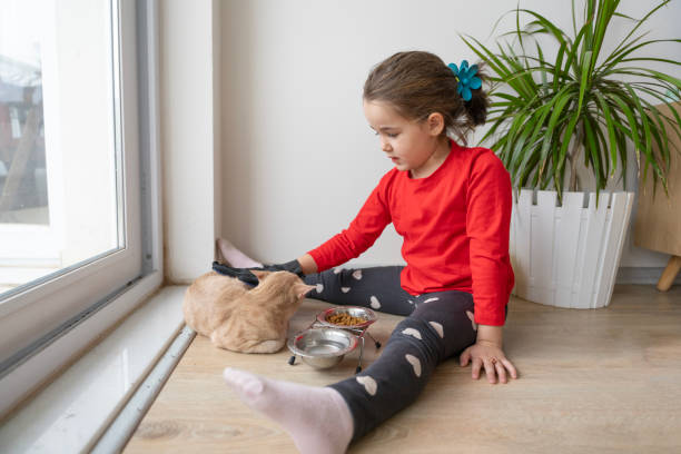 istock Heartwarming interactions between children and their pets, showing the responsibilities, compassion and learning experiences involved in pet care. Mutual love and trust between children and their furry friends. Pet feeding, grooming, bonding moments. 2184102862