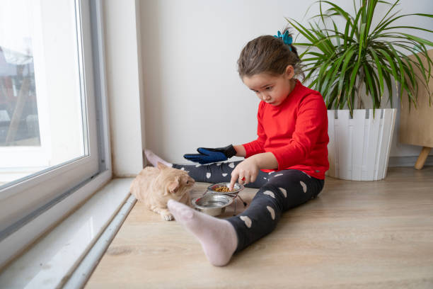 istock Heartwarming interactions between children and their pets, showing the responsibilities, compassion and learning experiences involved in pet care. Mutual love and trust between children and their furry friends. Pet feeding, grooming, bonding moments. 2184102864