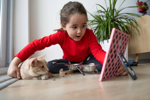 istock Heartwarming interactions between children and their pets, showing the responsibilities, compassion and learning experiences involved in pet care. Mutual love and trust between children and their furry friends. Pet feeding, grooming, bonding moments. 2184103107