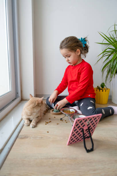 istock Heartwarming interactions between children and their pets, showing the responsibilities, compassion and learning experiences involved in pet care. Mutual love and trust between children and their furry friends. Pet feeding, grooming, bonding moments. 2184103233