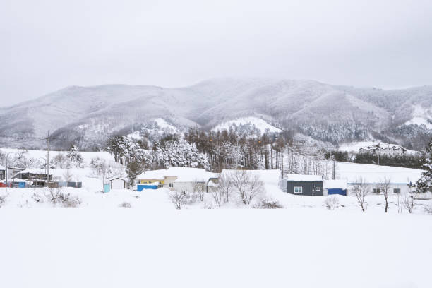 istock Snow Scenery of Daegwallyeong, Gangwon-do, Korea 2184105668