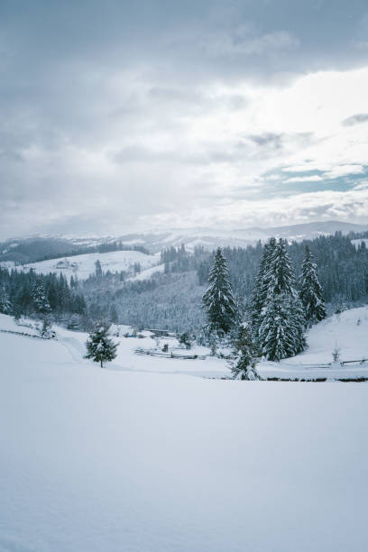 istock Snow-Covered Path Leading to Rural Homes in a Winter Mountain Landscape 2184107646