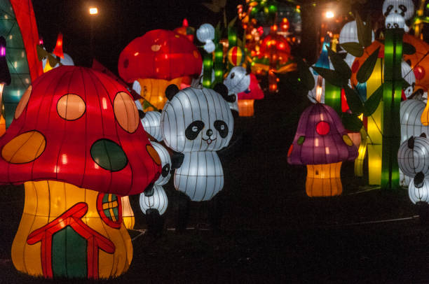Rotterdam, Netherlands - January 5, 2013. Outdoor night shor of the China Light Festival. This festival is regulaarly traveling between cities and is a major attraction.