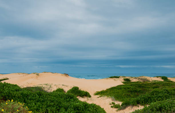 Nobbys Lighthouse is an active lighthouse established on Nobbys Head in Newcastle in 1854 to guide vessels into the Hunter River