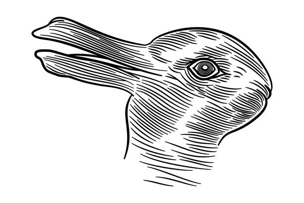 bildbanksillustrationer, clip art samt tecknat material och ikoner med rabbit-duck illusion, ambiguous image and reversible figure - illusion
