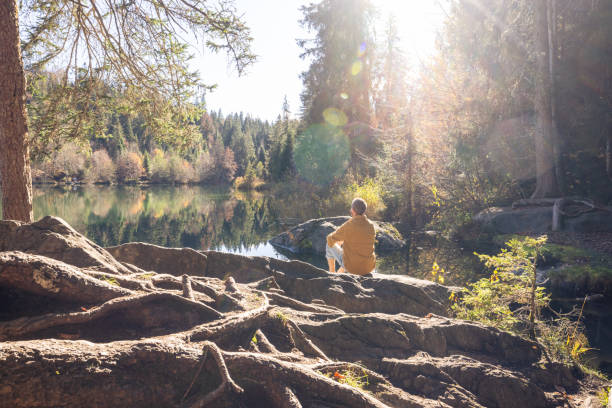 A man sits alone on a rock by a calm lake, surrounded by an autumn forest. Sunlight filters through the trees, creating a peaceful, reflective setting.