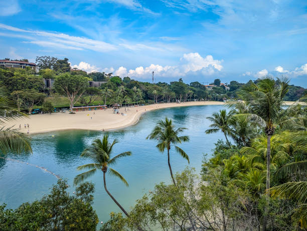 Palm trees on Sentosa Island in Singapore
