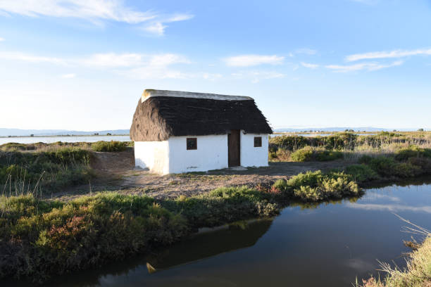 istock Small thatched house in the Ebro Delta (Spain) 2184117766