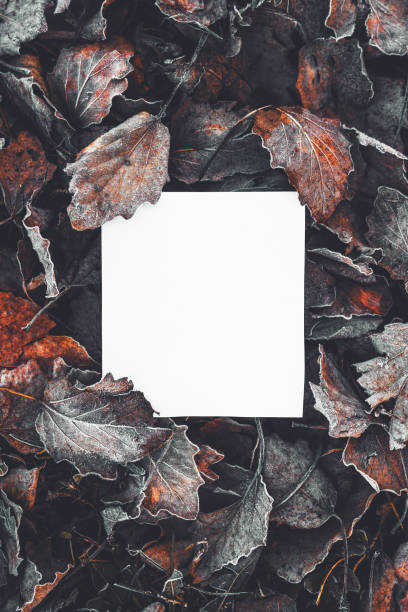 istock Blank note paper mockup over dry dead autumn leaves texture as social media post design element 2184118531