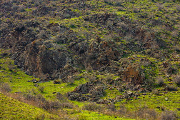 colorful mountain slope texture and full-frame background with green grass and brown rock spots