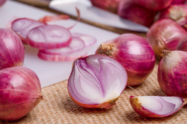 istock shallot or onion put on the cutting board. 2184126820
