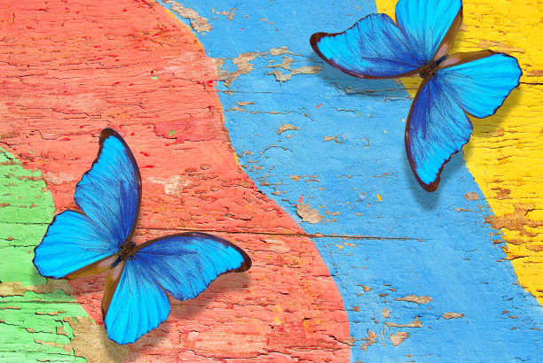 istock Old painted board texture background. Bright blue tropical morpho butterflies on colorful wooden table 2184131938