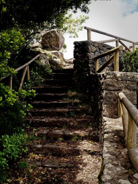 istock Stone steps in a lush forest path with wooden railings. 2184134760