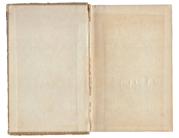 istock Vintage empty background of old book paper texture isolated 2184136296