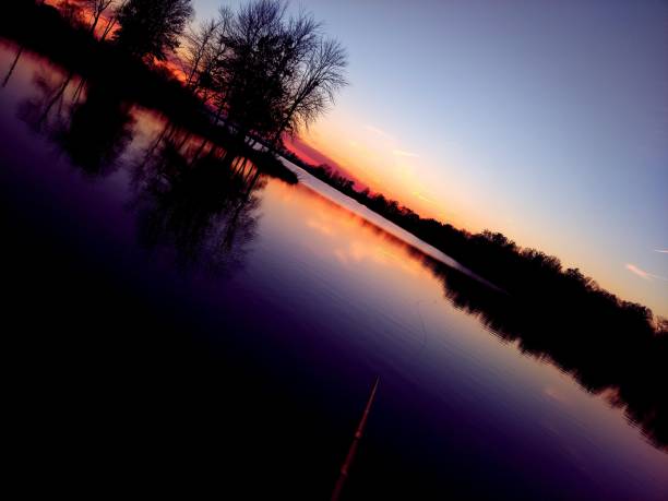 Trees silhouette reflecting the water at dusk