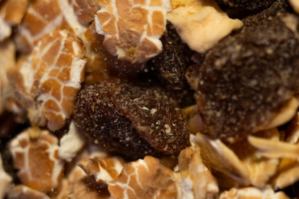 Close-up view of assorted natural muesli