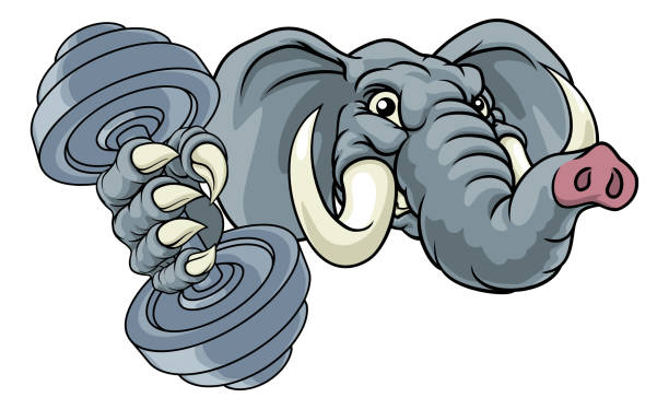 Elephant Weight Lifting Dumbbell Gym Mascot An elephant weight lifting gym animal sports mascot holding a dumbbell in its claw republican elephant logo stock illustrations