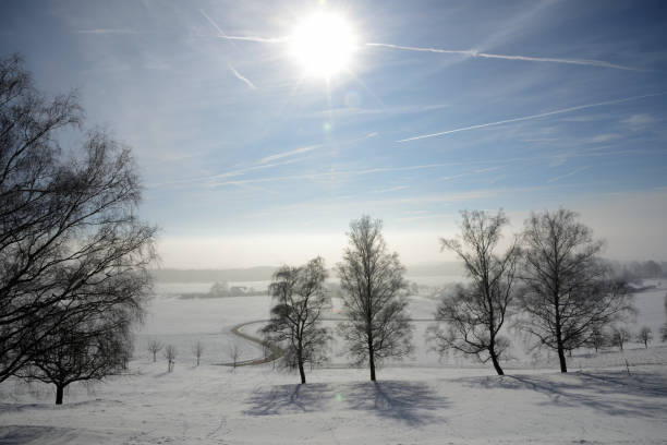 Winter with snow and trees on the swiss coutryside