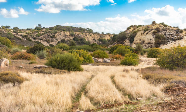 Serene photo capturing a Cypriot mountain vista with a clear sky, few clouds, and limited vegetation, showcasing the island's natural beauty