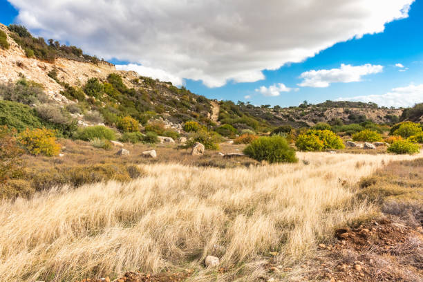 Cultivated hilly landscape of Sardinia, Italy