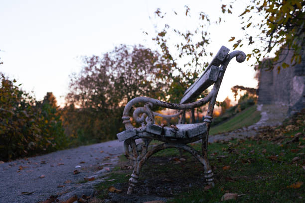 A side view of an ornate, weathered bench set along a quiet park pathway, surrounded by trees and grass during the soft light of dusk. The intricate design of the bench adds a touch of elegance to the serene natural setting. Perfect for themes of relaxation, nostalgia, and peaceful outdoor spaces.