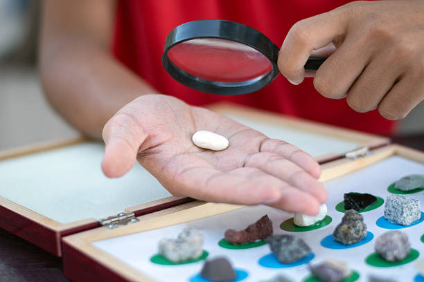 istock Asian schoolboy with various kind of rocks study. 2184152393