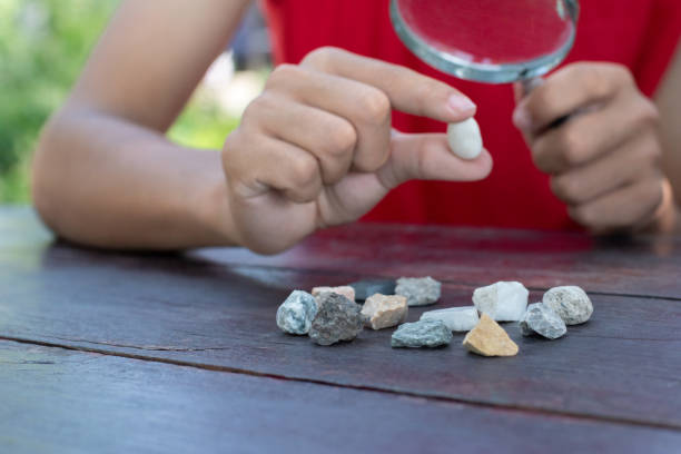 Asian schoolboy with various kind of rocks study.