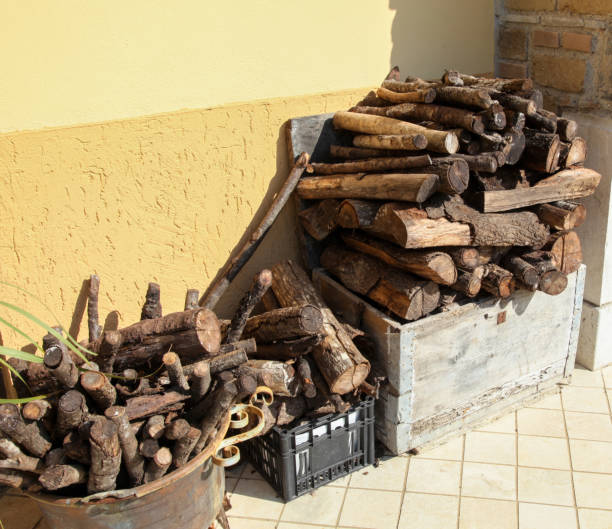 istock Firewood drying near a yellow wall in a sunny day 2184153853