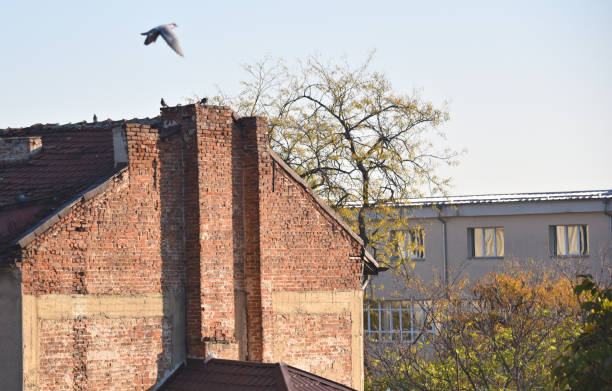 Sofia - old center - view of the roofs