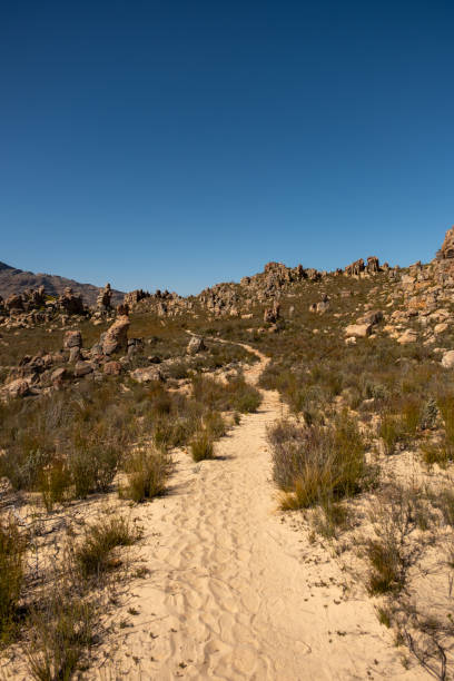 istock Cederberg Wilderness Area, South Africa 2184155939