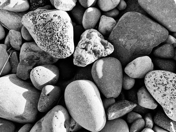 istock An assortment of rocks and pebbles in sunlight 2184156447