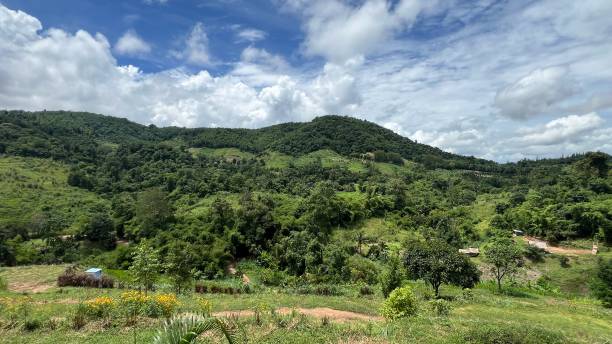 istock Panoramic view of the green mountains and forests in Thailand. 2184156529