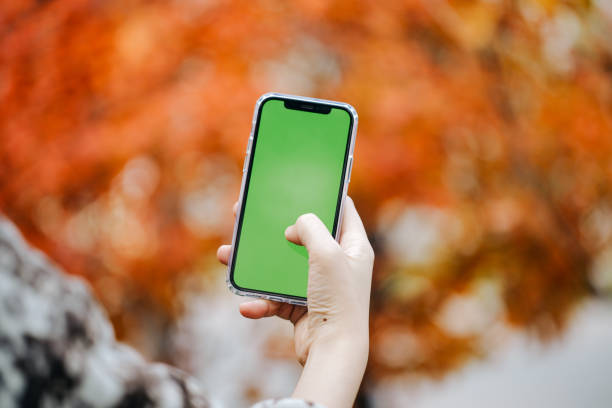 Holding green screens Smart phone