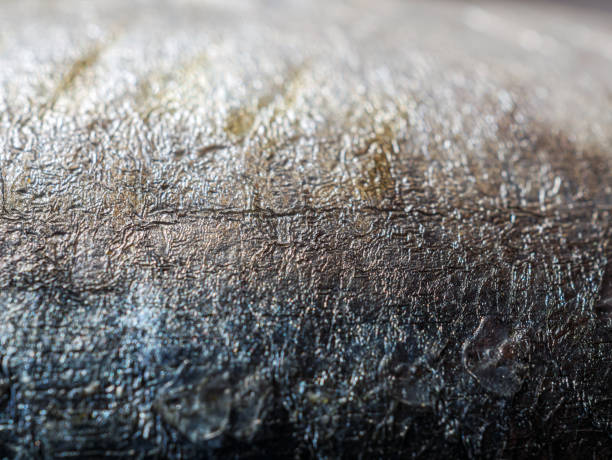 Close-up of mackerels fish skin and skin mackerels details
