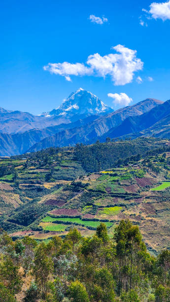 istock MOUNTAIN LANDSCAPE. MOUNTAINS WITH TREES ON A SUNNY DAY. ANDES MOUNTAIN RANGE, PERU. PERU TRAVEL. 2184167719