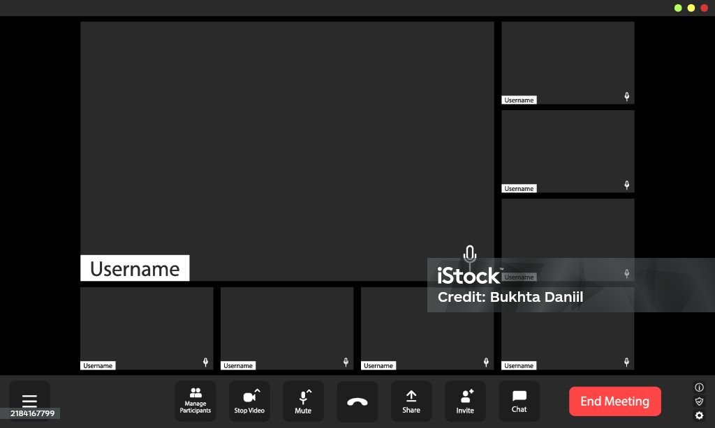 Virtual Meeting Platform Interface Showing Multiple Empty Participant ...