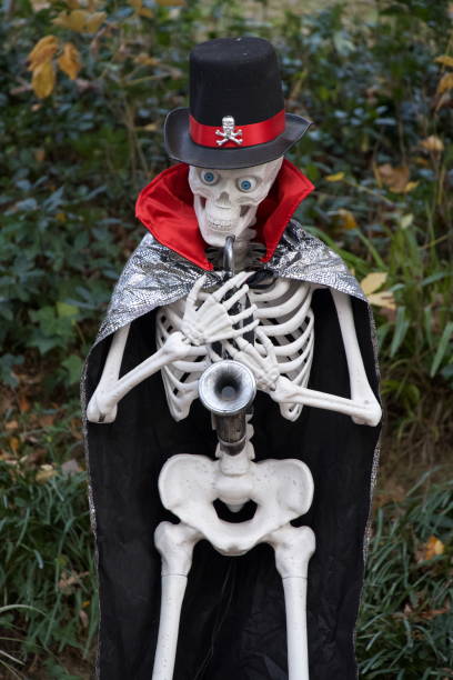 Fairfax, Virginia, USA - November 6, 2024: A skeleton dressed as a Mardi Gras musician adorns the yard of a suburban home following Halloween.