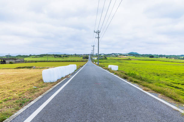 Okinawa Prefecture Kohama Island Sugar Road