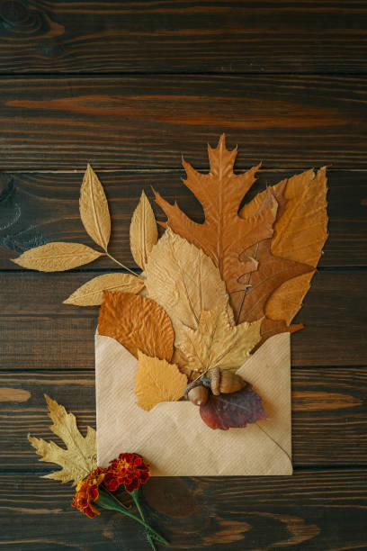 istock Envelope with autumn leaves, autumn mood 2184173405