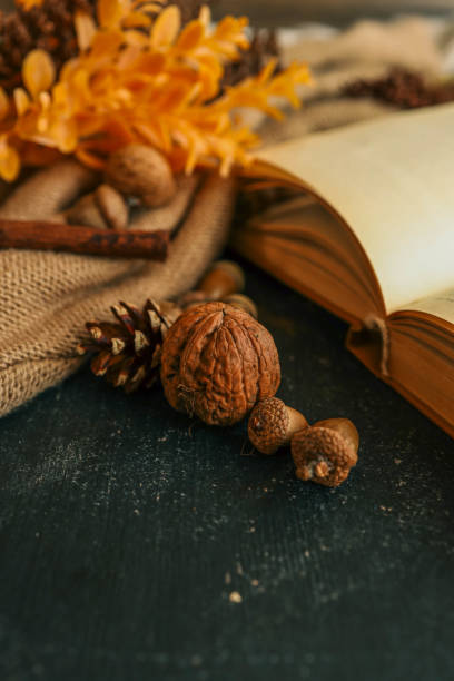 istock Cozy autumn photo, acorns, nuts, cinnamon 2184173499