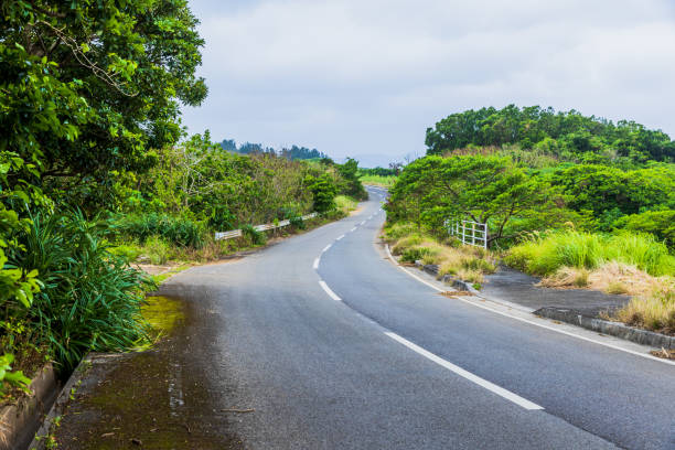 istock Scenery of Kohama Island, Okinawa Prefecture 2184175965
