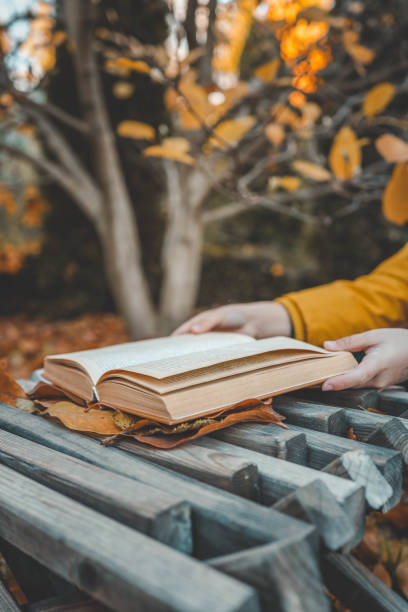 istock A cozy autumn scene with a person reading a book outdoors, surrounded by fallen leaves and warm seasonal hues, evoking a sense of calm and solitude 2184179749
