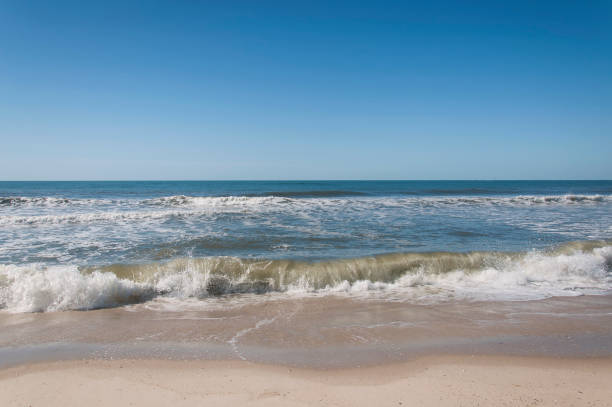 Beach houses line the shoreline of Kitty Hawk, North Carolina.